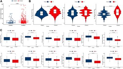 Transcriptome profiles of fatty acid metabolism-related genes and immune infiltrates identify hot tumors for immunotherapy in cutaneous melanoma